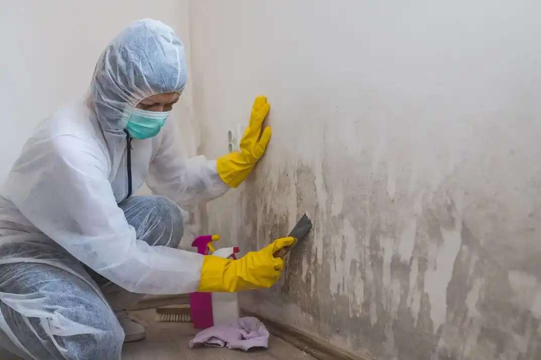 water damage restoration service Goodpasture Island